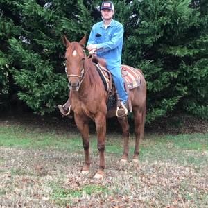 Meet your Posher, Cody